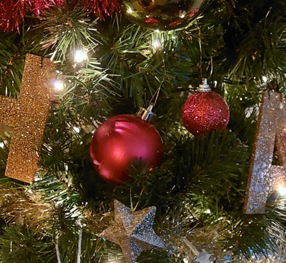 Onze Kerstboom